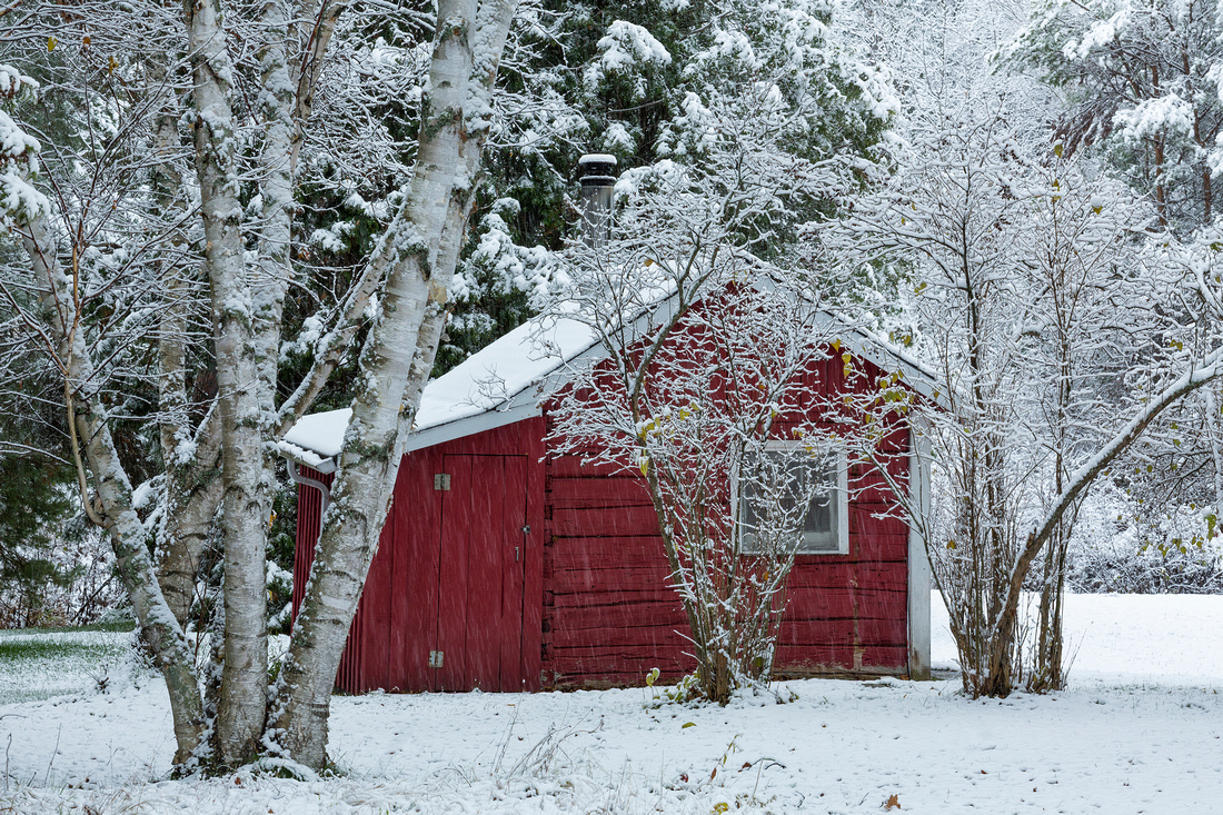 Old log sauna