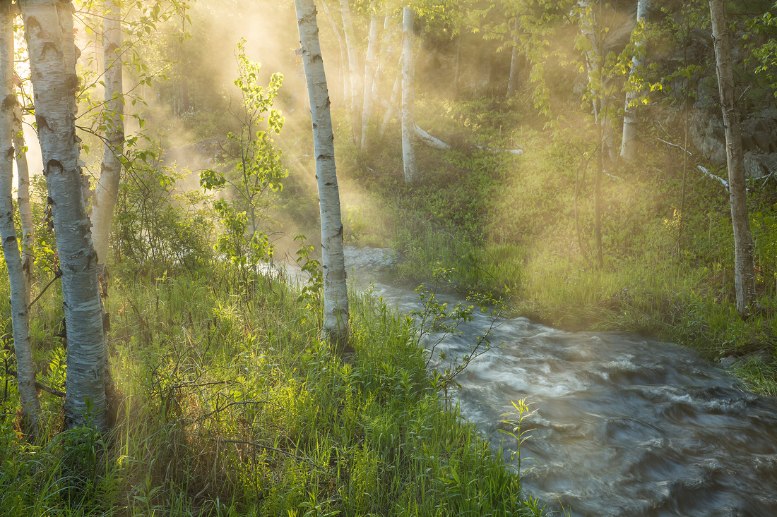 Morning Fog